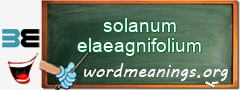 WordMeaning blackboard for solanum elaeagnifolium